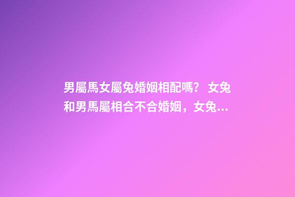 男屬馬女屬兔婚姻相配嗎？ 女兔和男馬屬相合不合婚姻，女兔 和 男馬 合不合？-第1張-觀點-玄機派